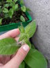 20150514_120645