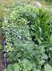 20150517_155122
