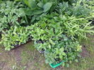 20150517_155142