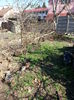 20150321_103320