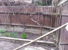 20150402_153119