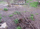 20150402_153337