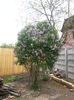 20150420_083308
