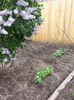 20150426_165949