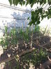 20150531_171938