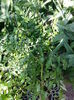 20150531_172043