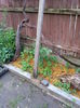 20150602_204956