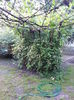 20150602_205053