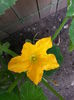 20150604_104245