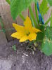 20150604_104250