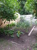 20150604_105916
