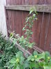 20150604_141531