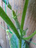 20150604_203550