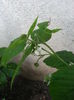 20150605_210642