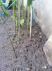 20150605_210651