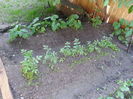 20150607_195452