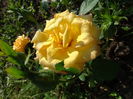 DSC09074