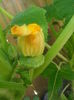 20150609_152044