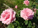 DSC09080