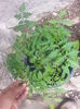 20150517_155700