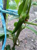 20150609_205634