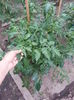 20150610_195233