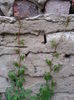 20150610_200712