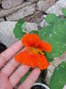20150610_200724