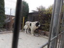 DSCN2074