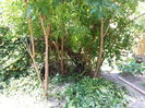 20150613_124944