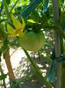 20150613_125011