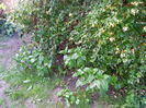 20150614_210638