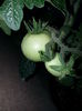 20150615_202954