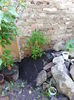 20150530_171838