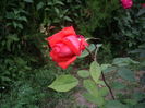 IMGP8627