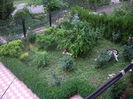 IMGP8739
