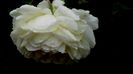 DSC06200