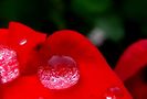 DSC06371