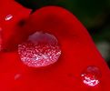DSC06372