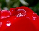 DSC06376