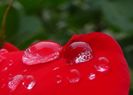 DSC06379
