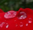 DSC06380