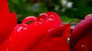 DSC06381