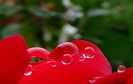 DSC06383