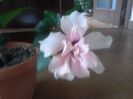 20150618_085103