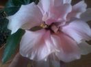 20150618_085046