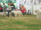 DSCN3346