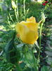 DSC09095
