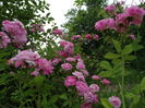 DSC09105