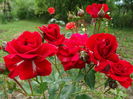 DSC09108